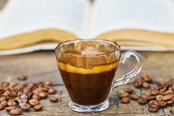 Đặc điểm, nguồn gốc và những cách pha chế cà phê Arabica Cầu Đất